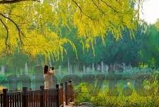 全球最大成人网免费视频-全球最大成人网免费视频，网络时代的隐秘角落